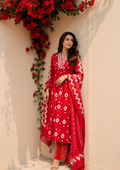 Bandhej Bloom Suit