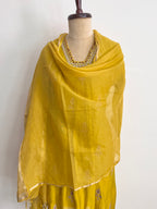 Amber Mul Chanderi suit